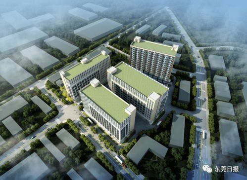 總投資超300億 東莞44個重大項目集中開工